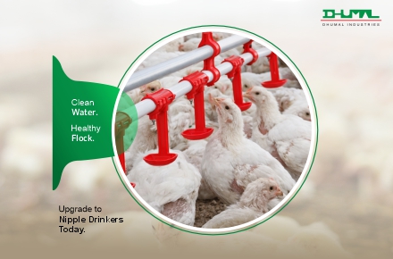 The Brand Mischief project completed for Dhumal Industries